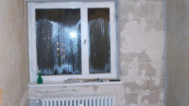 WoZiWand15.02.