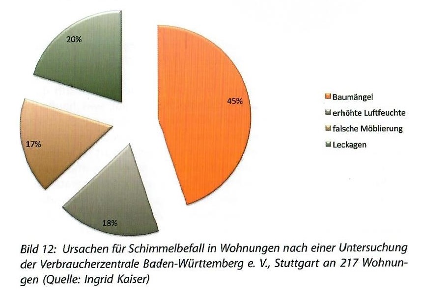 Diagramm über die Ursache des Schimmelpilzbefalls
